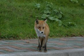 Lamp No Yado Moritsubetsu