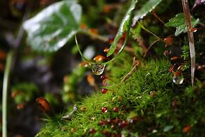 Lamp No Yado Moritsubetsu