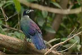 Singgahmata Holidays Camp