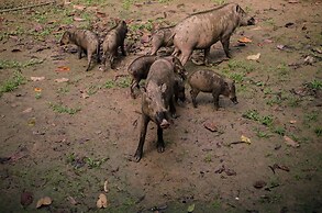 Singgahmata Holidays Camp