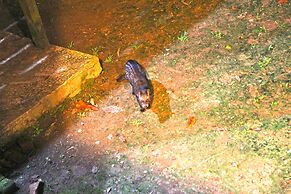 Singgahmata Holidays Camp