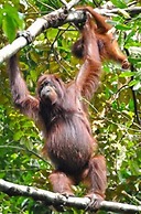 Singgahmata Holidays Camp