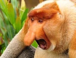 Singgahmata Holidays Camp