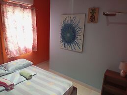 Surfari Bocas