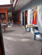 Surfari Bocas