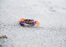 Makanas Beach Bungalows