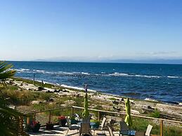 Buena Vista by the Sea