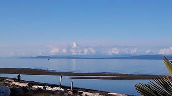 Buena Vista by the Sea