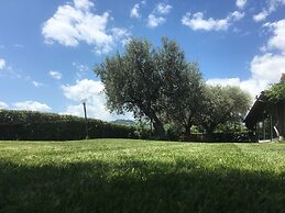 Il Girasole