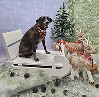 Hotel Jardin de Granada