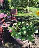 Vivans Bed & Self catering