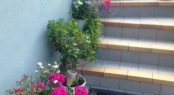 Vivans Bed & Self catering