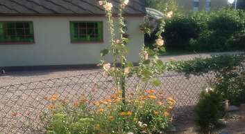 Vivans Bed & Self catering