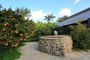 The LifeCo Bodrum Well - Being Center - Adults Only