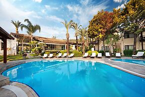 The LifeCo Bodrum Well - Being Center - Adults Only