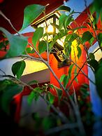 Primera Hacienda Hotel Boutique