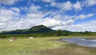 Cranky Crow Bed and Breakfast