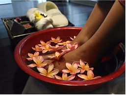 The Shalimar Boutique Hotel