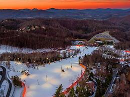 Mountainaire Inn and Log Cabins
