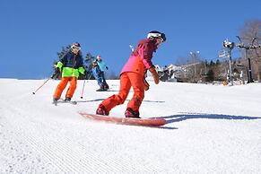 Mountainaire Inn and Log Cabins
