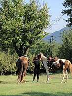Relais Colle Buono