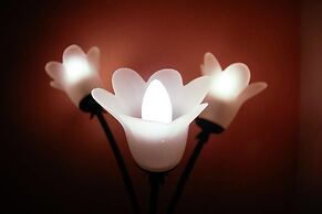 B&B Baglio degli Ulivi