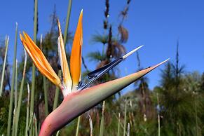 Bradclin @ York Place