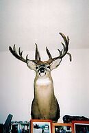 Hawkrock Wilderness Adventures