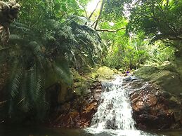 Guesthouse Ho Aloha - Hostel