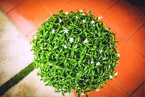 Tam Coc Rice Fields Resort