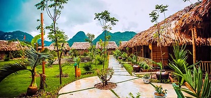 Tam Coc Rice Fields Resort