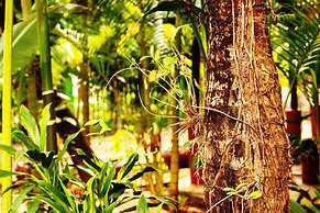 Angkor Une Fois Home Stay