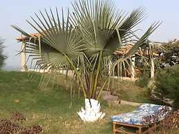 Tanji Bird Reserve Eco-lodge - Adults Only
