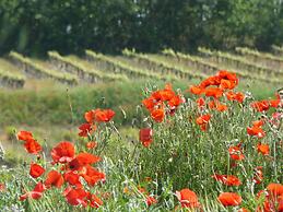 Le Mas des Etoiles - Luberon B&B