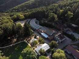 Domaine du Hirtz