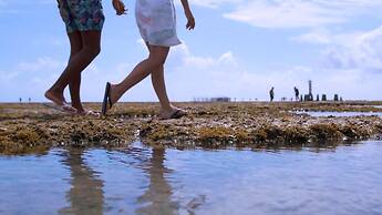 Slim Pajuçara by Tropicalis