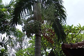 Tirta Sari Bungalows & Spa