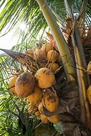 Amed Harmony Cafe and Bungalows