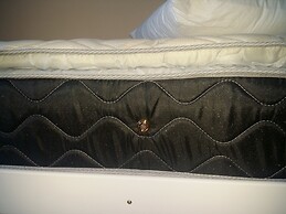 Hostel Dragão do Mar