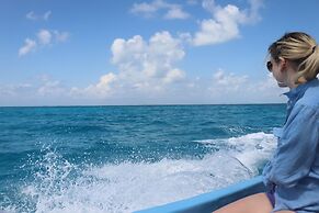 Palmento Grove Eco Cultural & Fishing Lodge