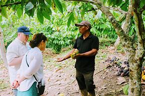 Palmento Grove Eco Cultural & Fishing Lodge