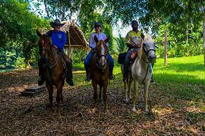 Palmento Grove Eco Cultural & Fishing Lodge