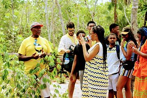 Palmento Grove Eco Cultural & Fishing Lodge