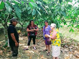 Palmento Grove Eco Cultural & Fishing Lodge