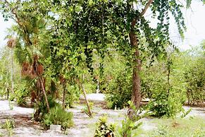 Palmento Grove Eco Cultural & Fishing Lodge