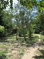 Palmento Grove Eco Cultural & Fishing Lodge