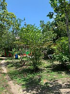 Palmento Grove Eco Cultural & Fishing Lodge