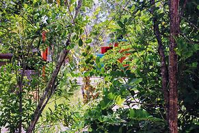 Palmento Grove Eco Cultural & Fishing Lodge