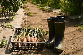 Glamping Resort Feriendorf