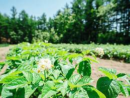 Glamping Resort Feriendorf